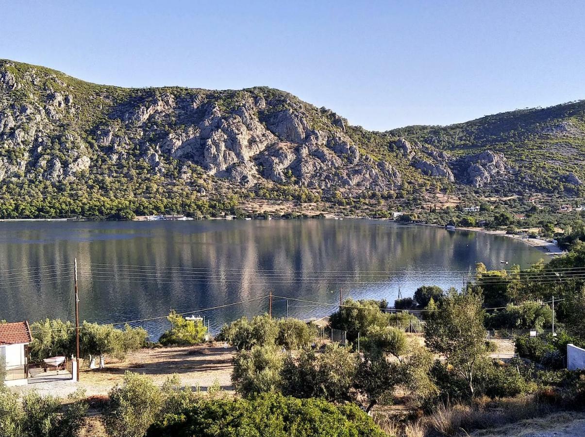 Lagoon Dreamhouse Λίμνη Βουλιαγμάνης Εξωτερικό φωτογραφία